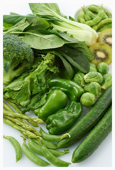 Ilustração em aquarela de legumes verdes Alimento desenhado à mão cliparVetor Premium