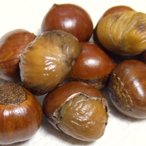 楽天市場 天津甘栗 甘栗 栗 スイーツ 和菓子 お菓子 秋 和スイーツ マロン 菓子 栗本来の甘さ 500g 人気 孫 祖父 祖母 誕生日 : 楽天軒