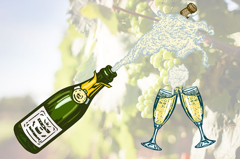 ヨーロッパ製「ワイン保存器具 バキュバン」は、飲みかけのワインの鮮度を長く保つ優れもの。, 🍷密封, ボトルに栓をするだけです！, 🍷保存,ポンプを取り付け、空気を抜きます。空気が抜けると「カコン、カコン」という音が鳴るので使い慣れていない方も安心です！, 🍷後で楽しむ,ワインを10日間程保存できます！,バキュバンvacuvinワインワインスタグラムワイン好き