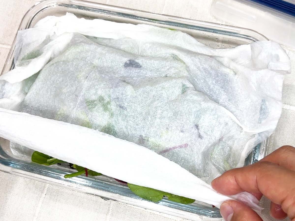 コストコのオーガニック野菜に注目！熊本の有機栽培ベビーリーフショップのアイデア暮らしニスタ