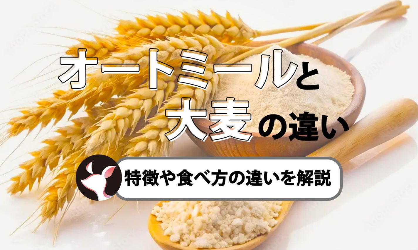 あなたは説明できますか？大麦と小麦はこんなに違う - サッポロビール公式メディアCHEER UP