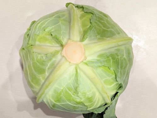 ムラサキキャベツ液の色の変化 中学 理科 かめのこブログ