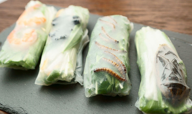 外国人「気持ち悪い日本食を紹介する」 海外の反応かいこれ！ 海外の反応 コレクション