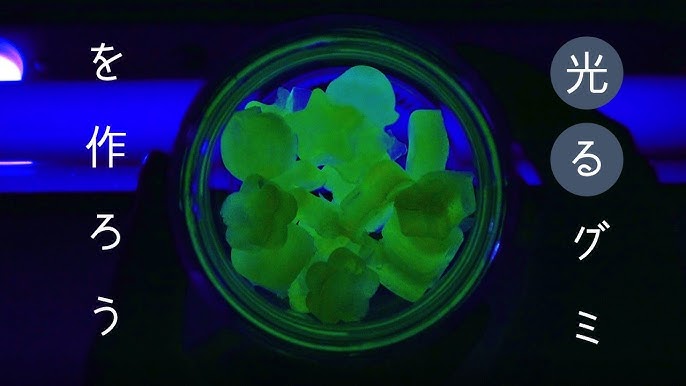 光るドリンクボトル 作り方TikTok