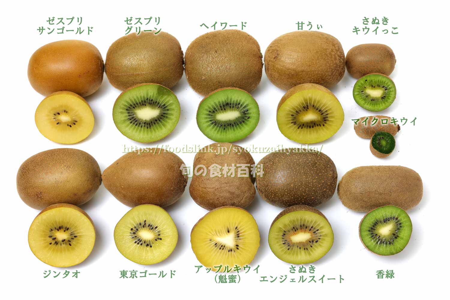 フェイジョア Feijoa ：旬の果物百科