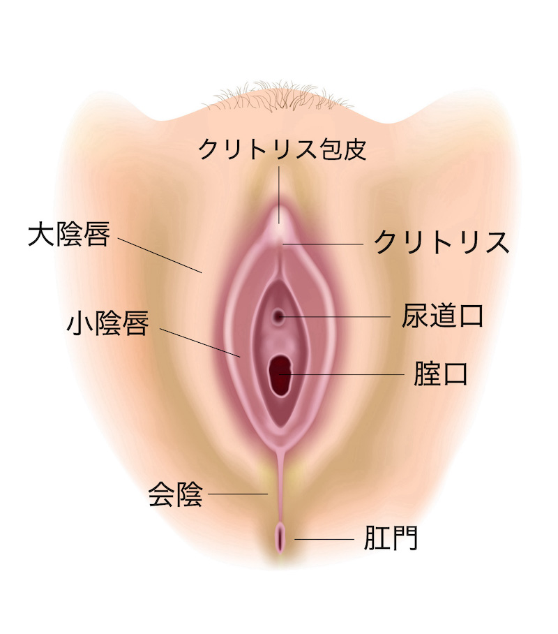 クリトリス包茎 | ゆかりレディースクリニック