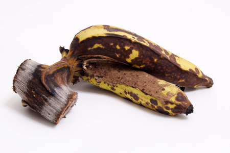 黒いバナナは食べても平気？皮や果肉が黒ずむ理由と腐ったバナナとの見分け方 - トクバイニュース