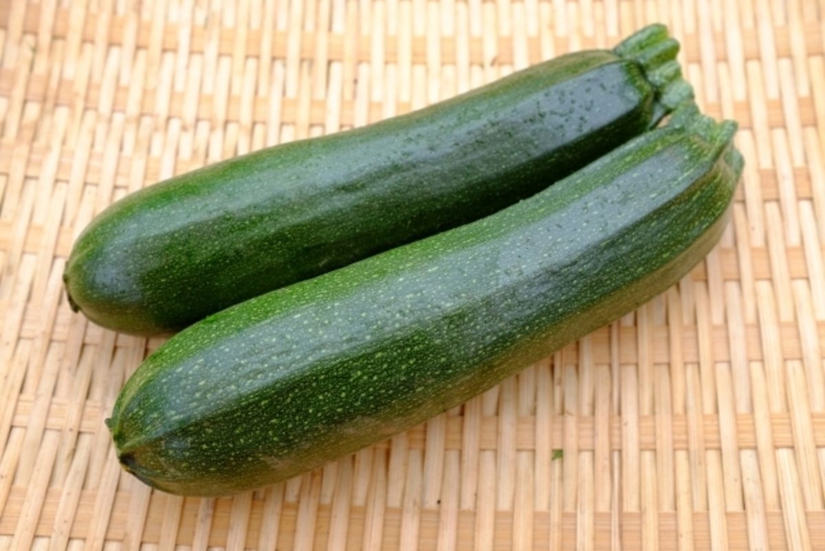 玉ねぎ タマネギ に発生する病気と害虫菜園ラボ