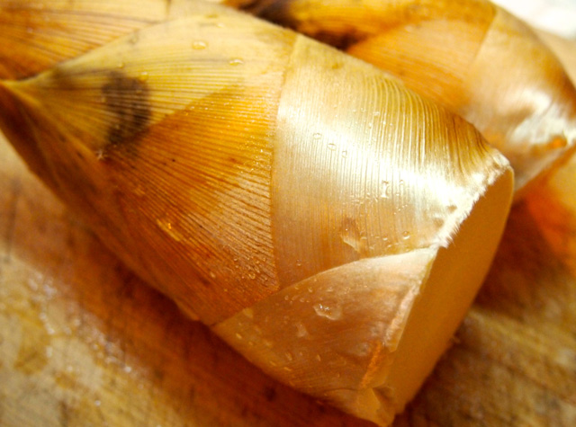 黄金色に輝く水に沈む筍うまいもんBLOG