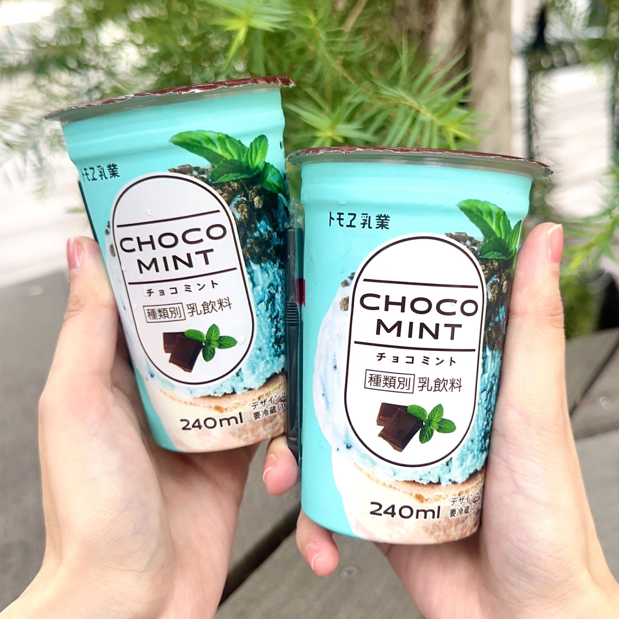 ファミリーマート限定。さっぱり爽やかな風味が楽しめるチョコミントドリンク jsc- エキスパート - Yahoo!ニュース