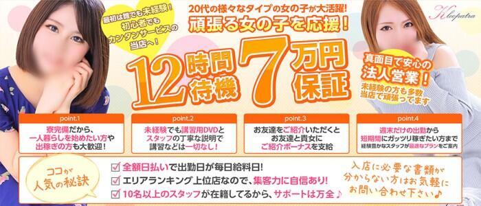 野菜ソムリエサミット金賞] ミニトマト 1kg キャロルスター