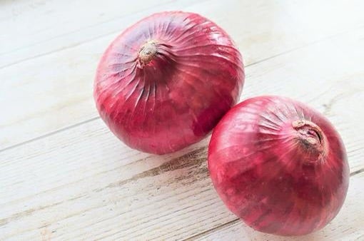 オニオンスライス 写真素材604972- フォトライブラリ