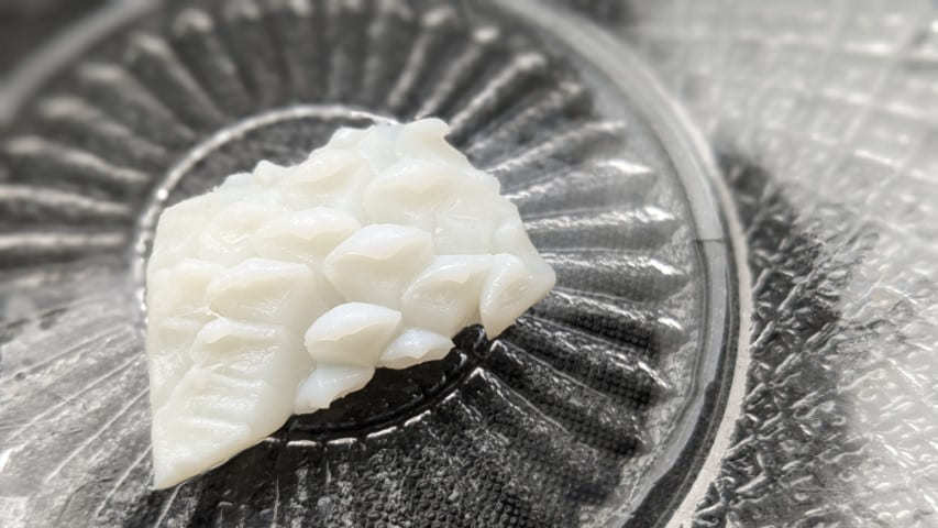 いかの料理辞書KATSUYOレシピ カツ代の家庭料理食材別の切り方や保存方法、料理用語など