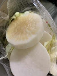 大根もカビる!食べられるかどうかの見分け方や変色の原因を紹介食・料理オリーブオイルをひとまわし