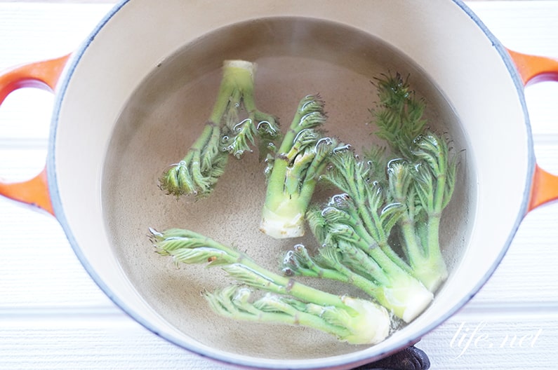 たらの芽のチーズ春巻きレシピは皮がパリパリ！育ちすぎも美味しく食べる田舎でゆったり暮らしたい