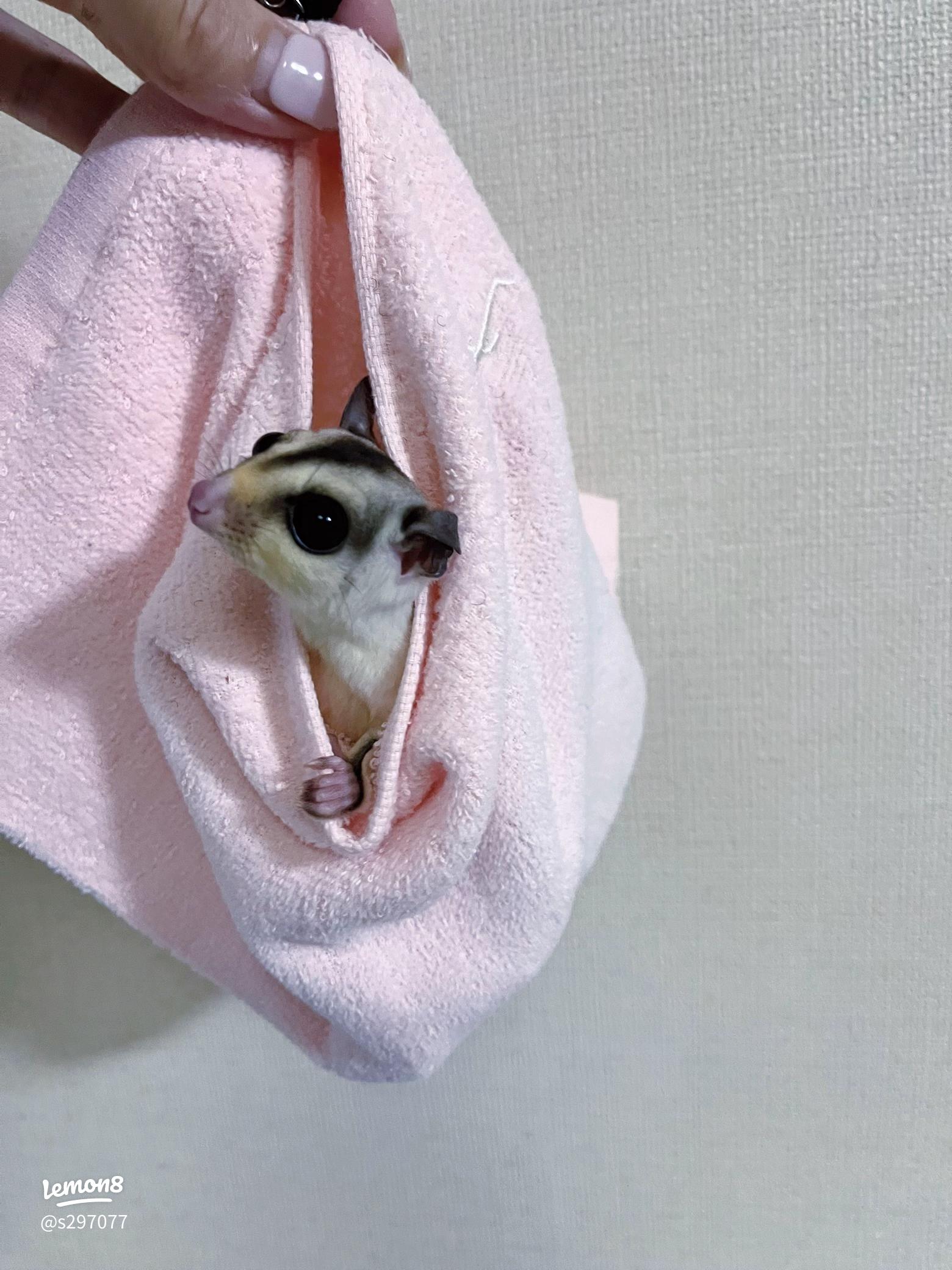 おりがみ巾着袋 ハンカチリメイク ぱたぱた折って縫うだけ - YouTube