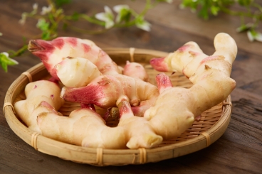 新生姜の時期、新生姜ってなんだろう