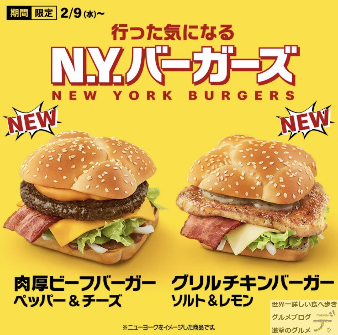 Nyバーガーマック はしだTikTok