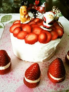 ご予約受付中！2023年 ペット用クリスマスケーキ・おせちDOGCAT COCO