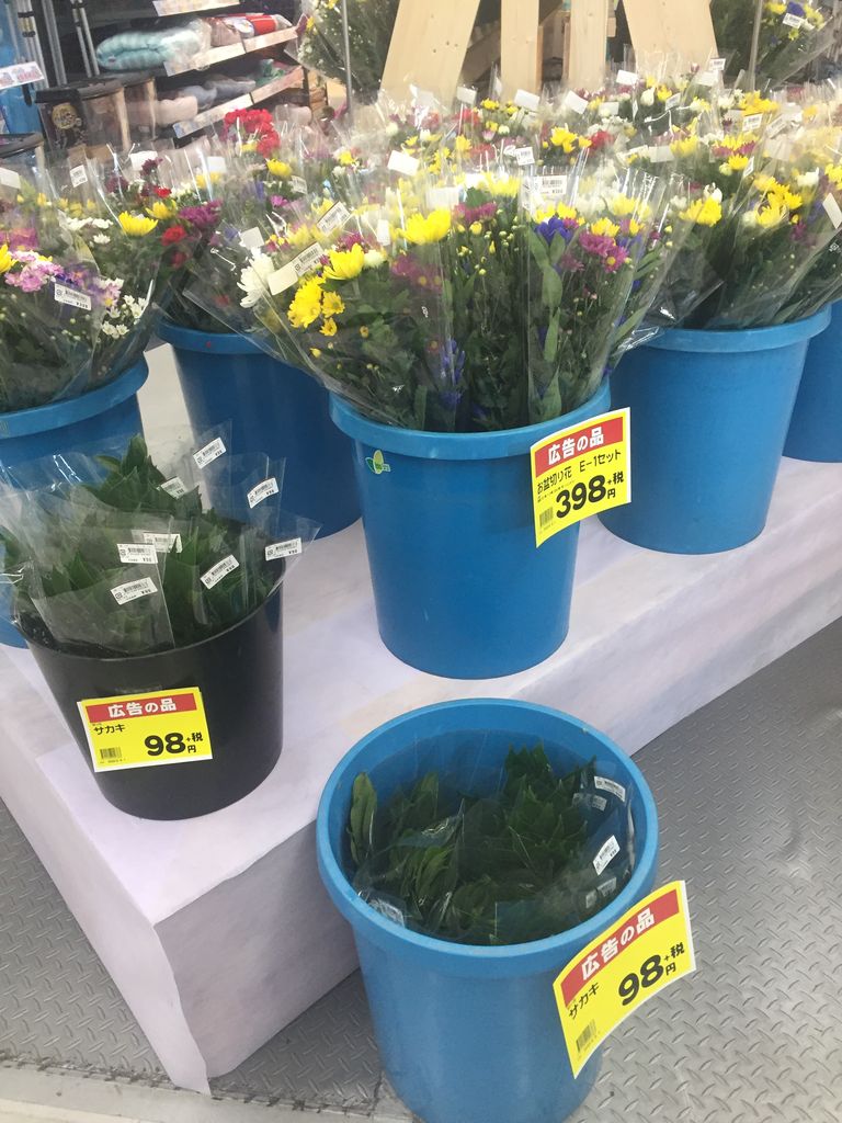 生花 ポピー 1束約20本入り・色おまかせ 千葉県 茎折れ保障対象外 早締切-74- 花材通販はなどんやアソシエ