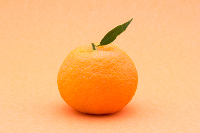 特選みかん「夢の恵」品種：尾崎みかん Ｓサイズ・4㎏入 : JA熊本市オンラインショップ ＪＡタウン 産地直送 通販 お取り寄せ