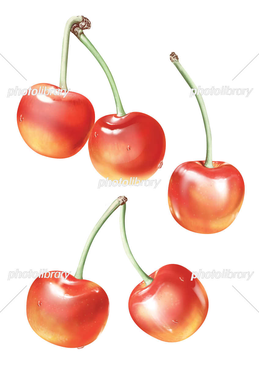 まとめ さくらんぼのフリーイラスト素材集イラストイメージ