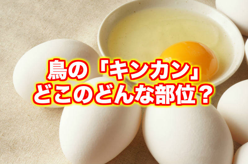 鶏もつ&レバー&きんかんの甘辛生姜煮 by ももってクックパッド簡単おいしいみんなのレシピが392万品