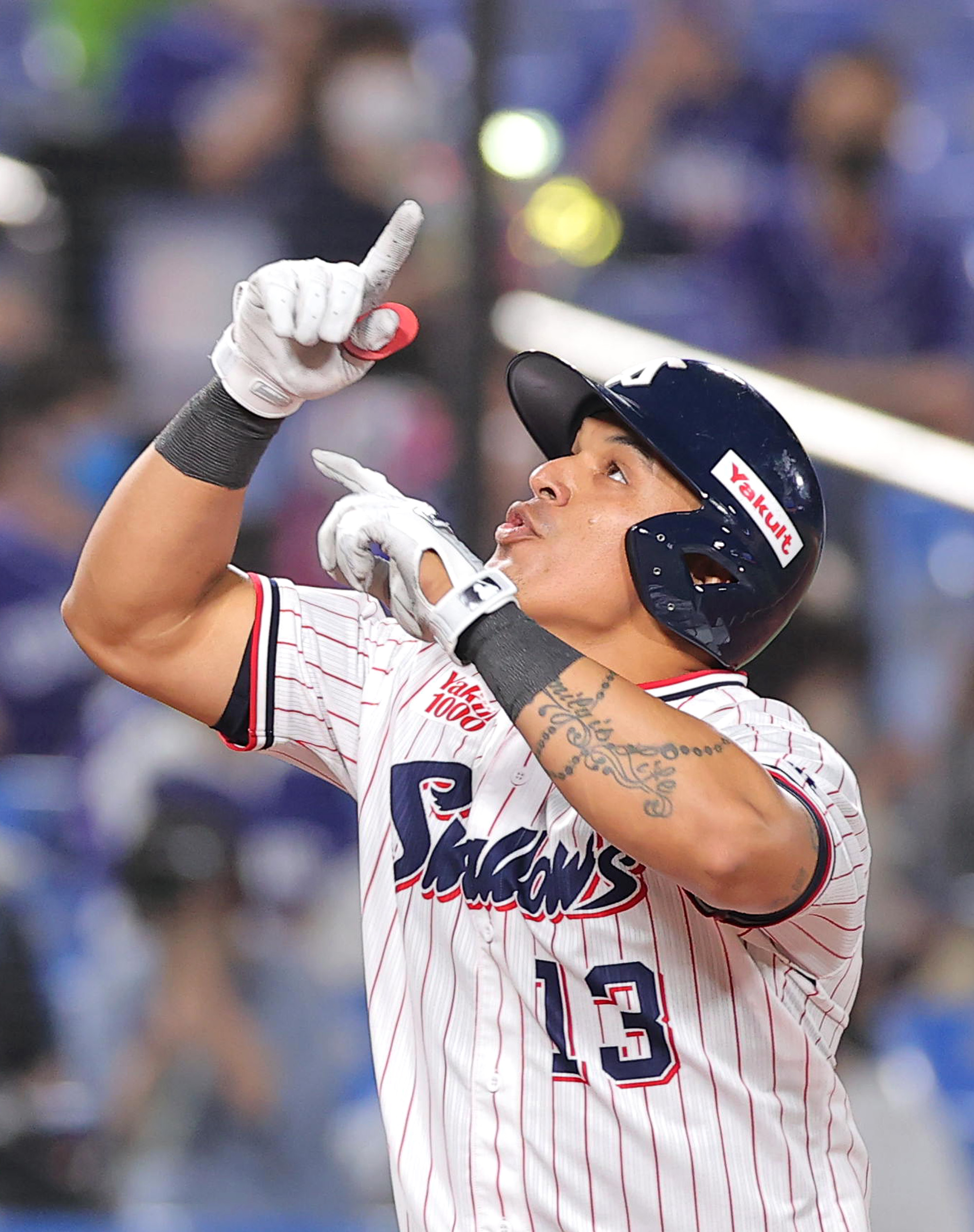 Amazon.co.jp: プロ野球カードゲーム ドリームオーダー セ・リーグ 東京ヤクルトスワローズ 一塁手 Ｊ．オスナ CBP01-S05RH: スポーツ＆アウトドア