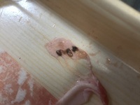 生協の国産冷凍バラ肉を茹でた所、黒い斑点が現れました。縁に黒い部分もあ- Yahoo!知恵袋