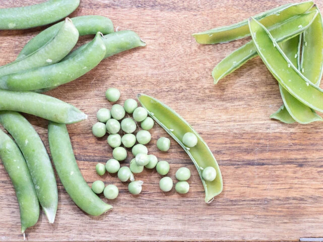 サイゼリヤ100%活用術をはてな女子との初デートに試してみた - 太陽がまぶしかったから