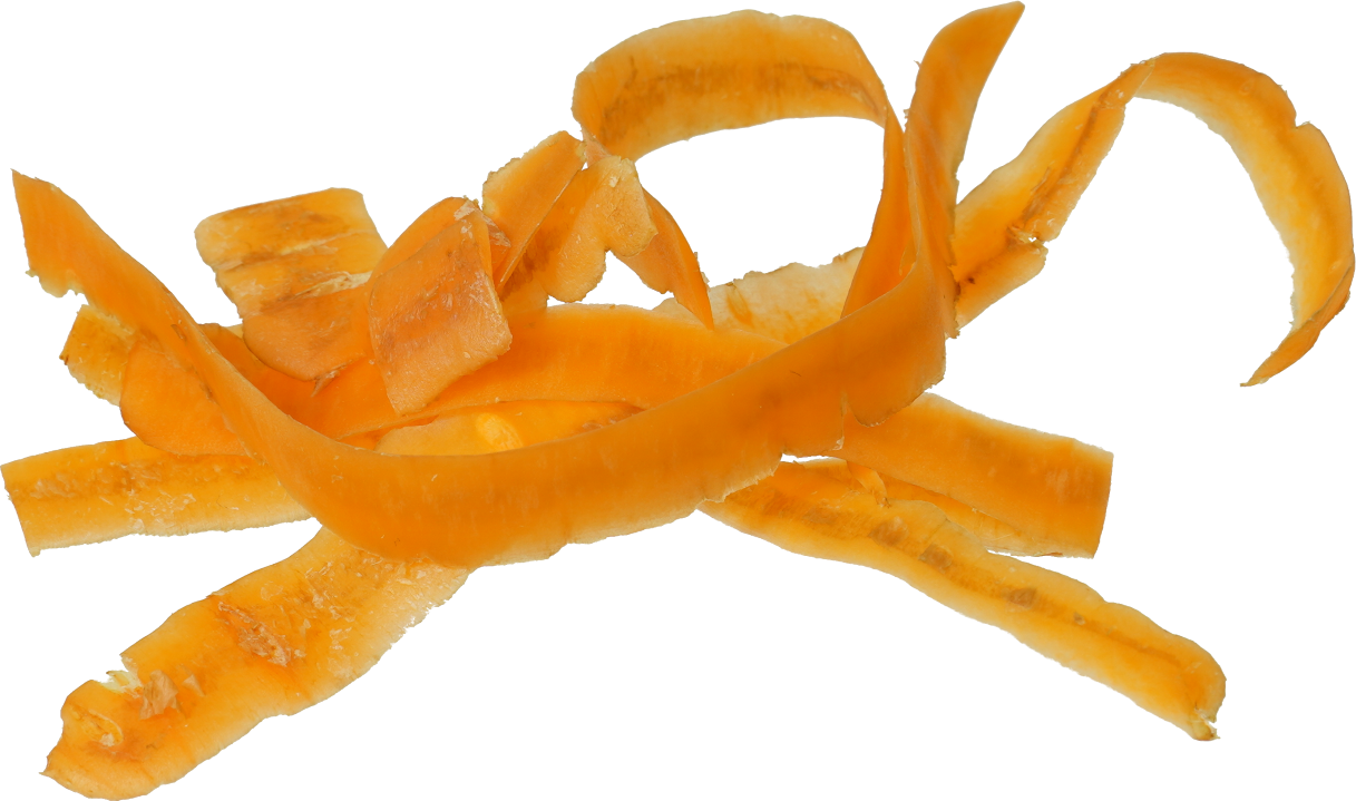 にんじん葉の写真素材写真素材なら「写真AC」無料 フリー ダウンロードOK