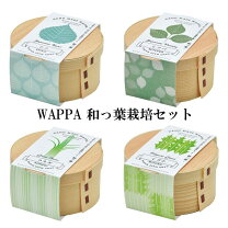 和っ葉株式会社S・P・D鹿児島県で不動産の賃貸・売買・リフォームの提案が可能