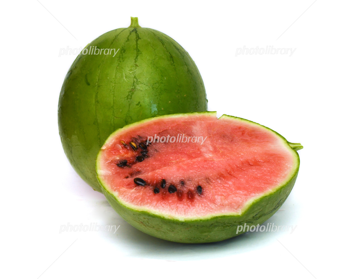 スイカ、黒緑の縞じゃなくて薄緑と緑園芸日記byトントロみんなの趣味の園芸1236933