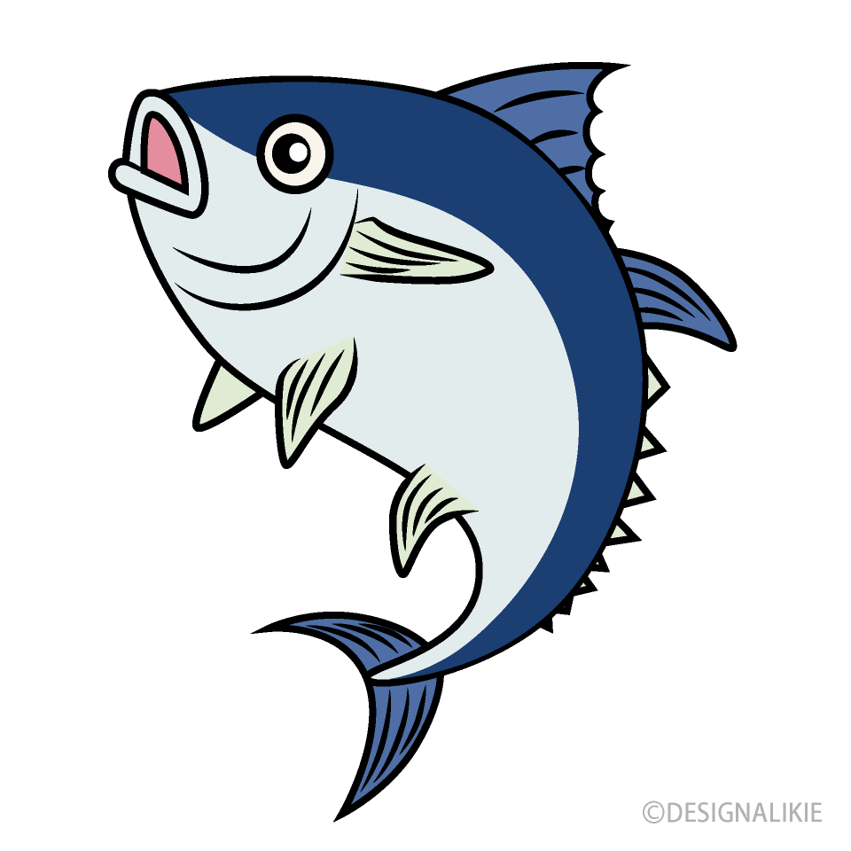 マグロイラスト