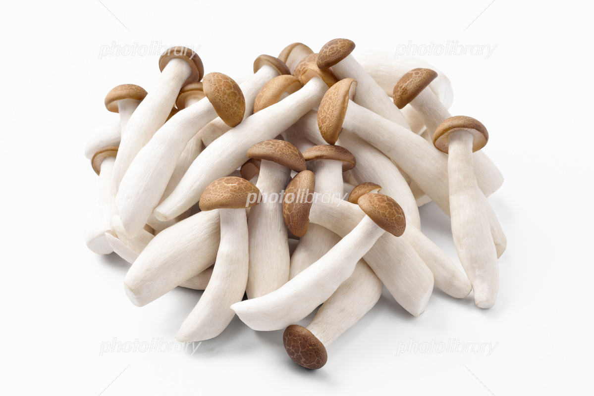 8,800点を超えるしめじのストックフォト、写真、そしてロイヤリティフリーの画像 - iStockきのこ, しいたけ, トマト