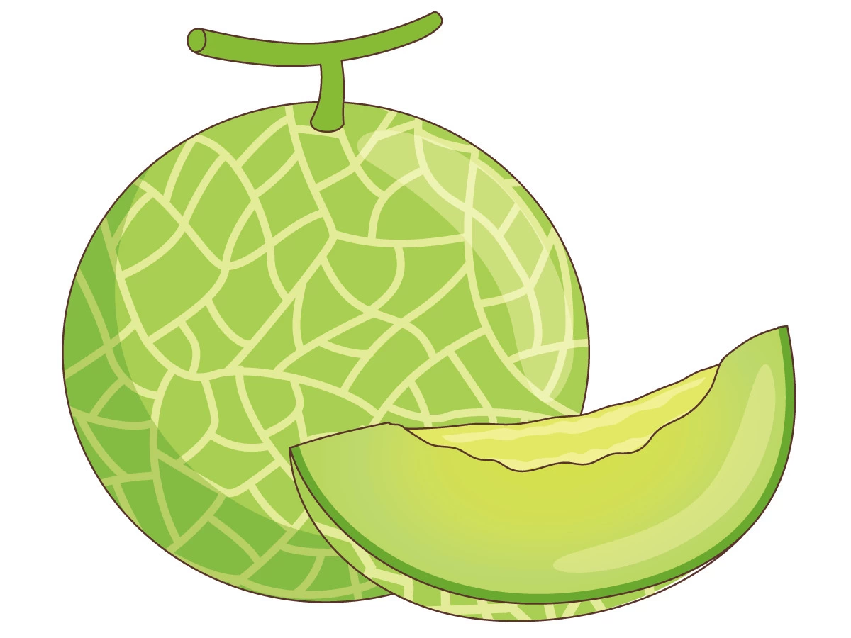 ヘルシーな食物繊維の多い食物、サラダのイラスト素材FYI08102369ストックフォトの Qlean Market キュリンマーケット