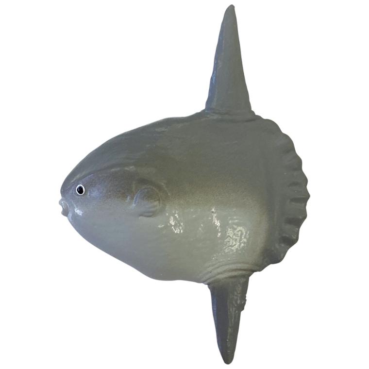 楽天市場 釣りスピリッツ バスボール ＜ ソーダの香り ＞ 全5種類 FS46677釣って遊べる水族館 ゲーム 釣り 魚 小学校 幼稚園 保育園男の子 魚釣り プレゼント 小学生 粧美堂 バスボム おもちゃ ギフト お風呂 フィギュア マスコット 炭酸ガス入浴料 入浴剤 : 粧美堂