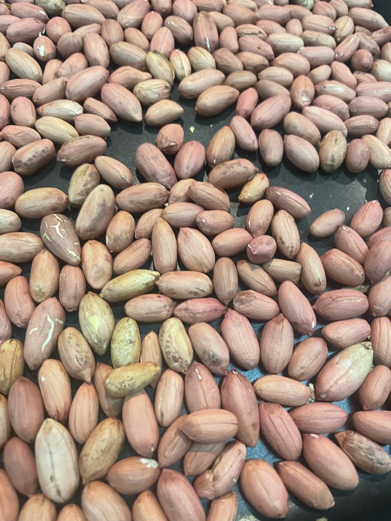 塩茹でだけじゃない。秋の味覚「生落花生」の茹で方・食べ方とレシピいろいろ 2ページ目キナリノ