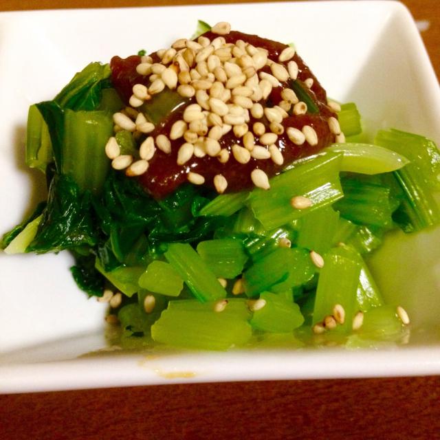 解決！ 小松菜について！栄養素から、調理方法、種類など小松菜についてのあれこれ！ 1921年創業！プロご用達の冷凍お惣菜通販サイトUJUROby ヤマダイ食品