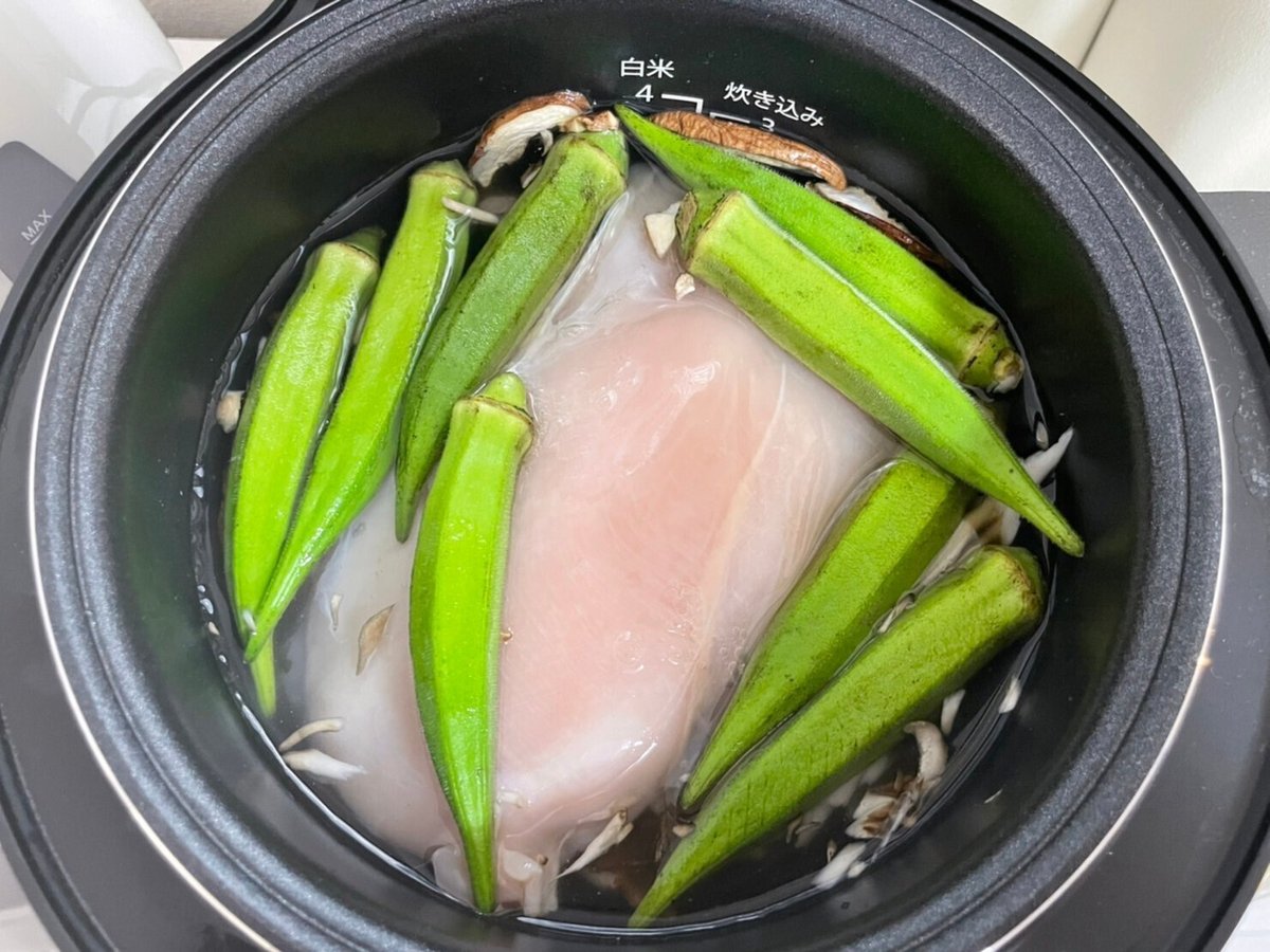 大成功 「沼」の炊飯器には時短調理の電気圧力鍋がおすすめ