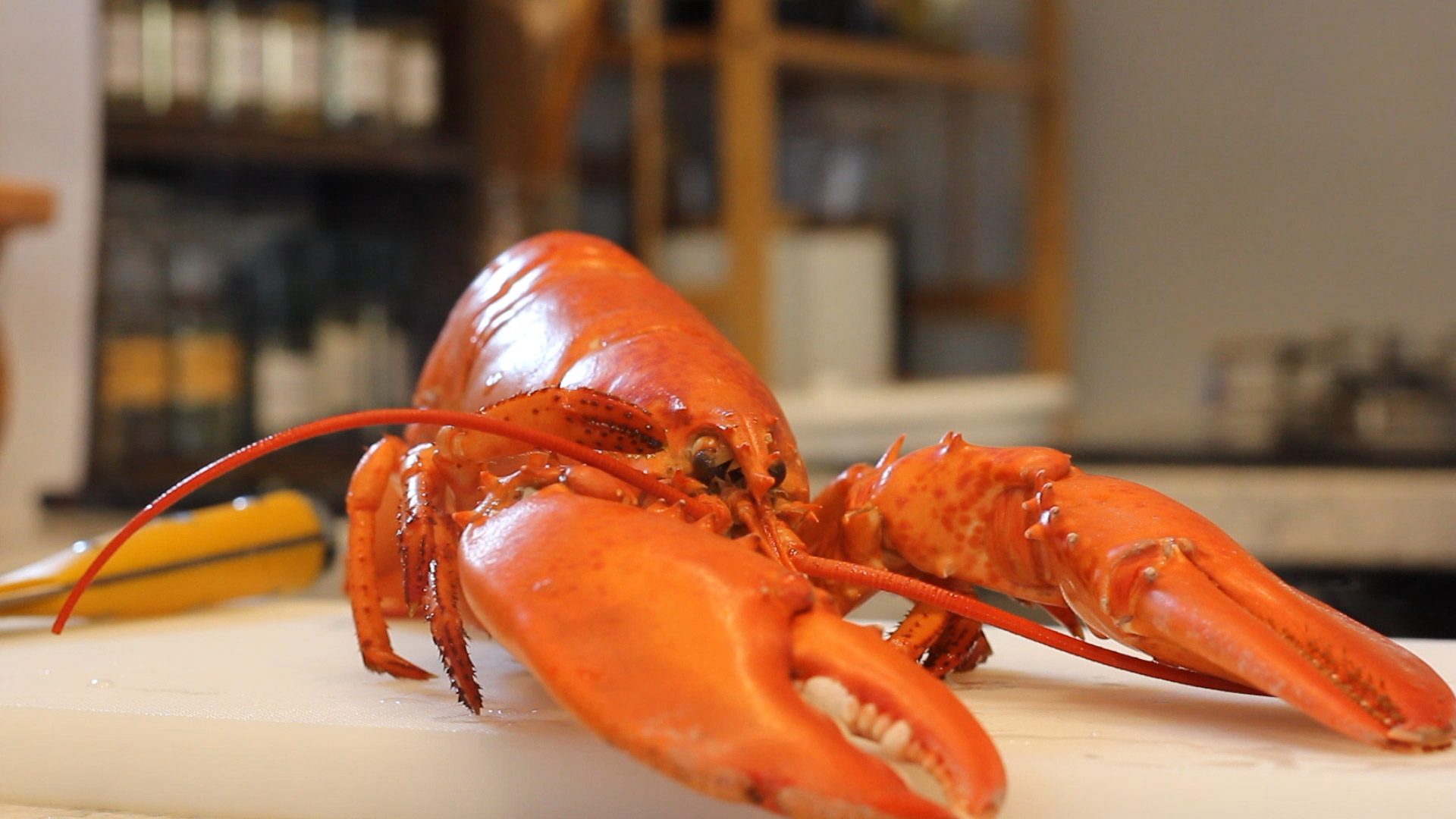 ボイルロブスター 1尾 北米産 姿ゆで 350g前後 オマール海老 冷凍便 食品