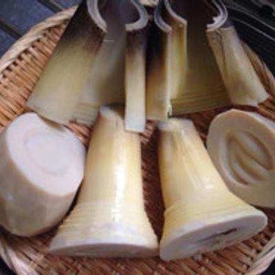 黄金色に輝く水に沈む筍うまいもんBLOG