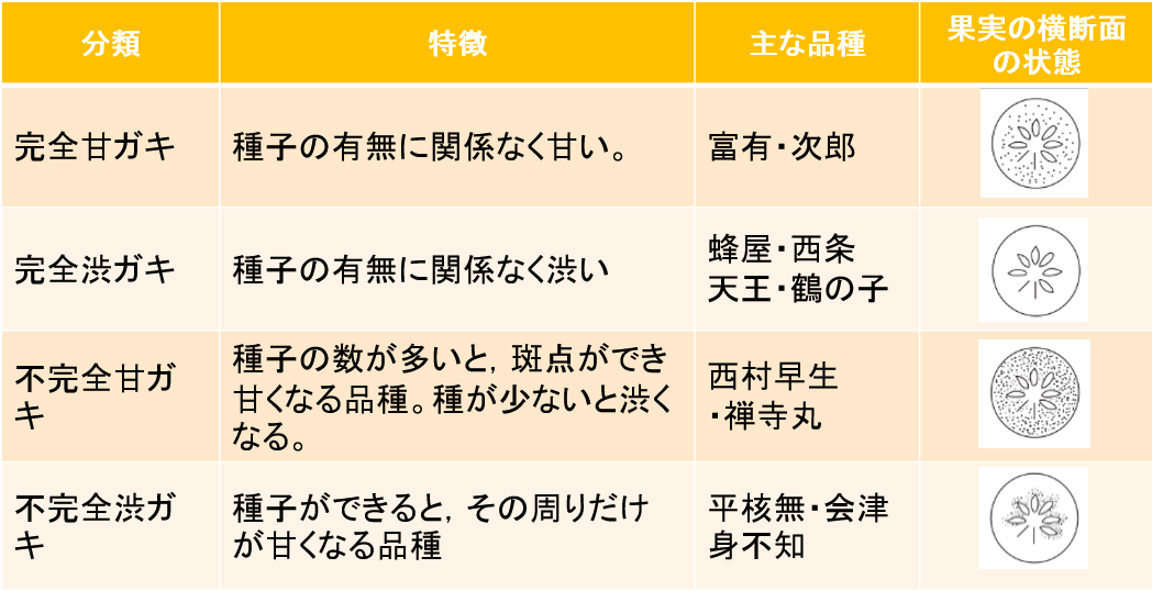 柿農家「柿壺」甘柿の干し柿 わがはいは柿である。8袋入箱モンベル