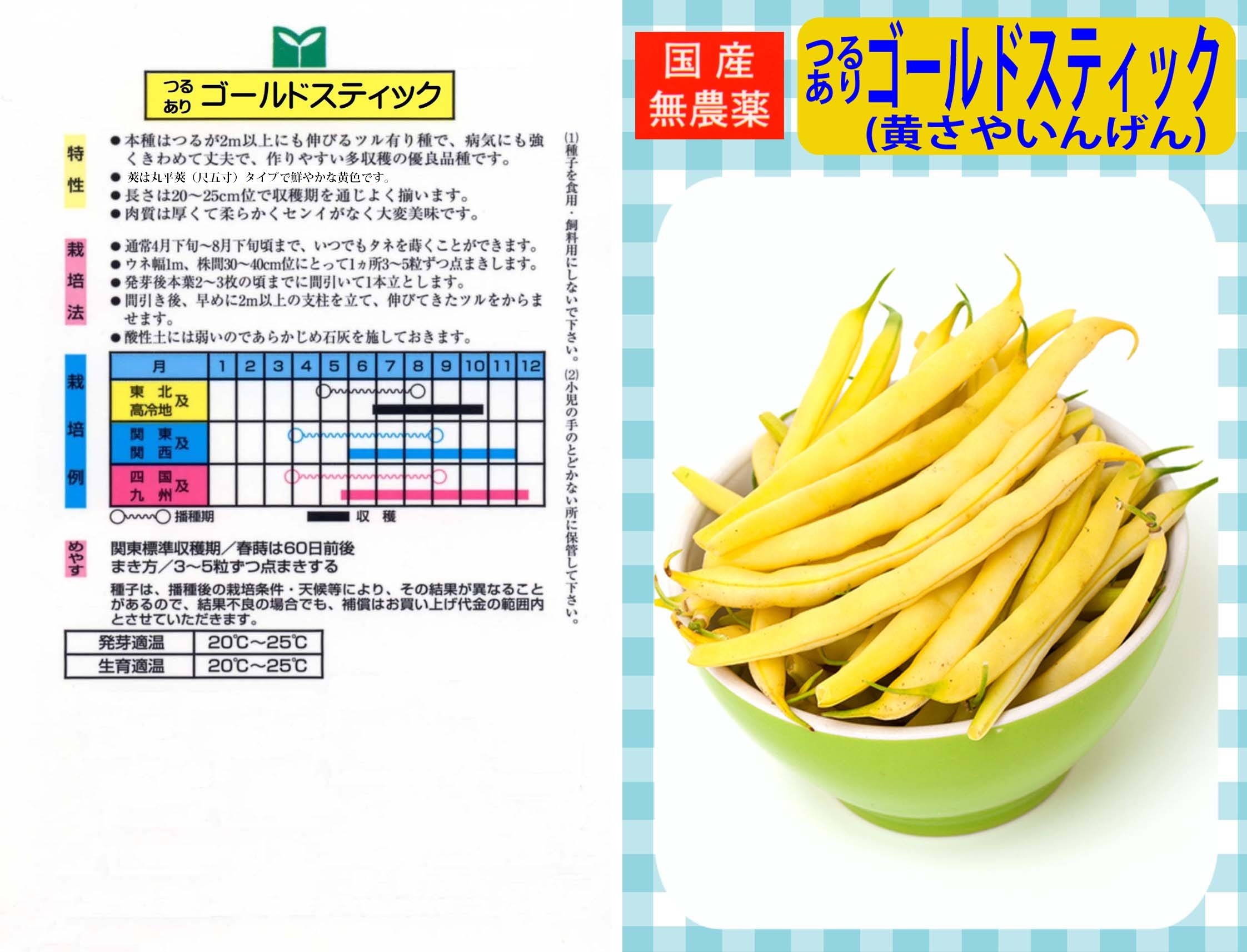 旬のいんげんは「ゴツゴツ」と「なめらか」どちらを選ぶ？失敗しないための野菜ソムリエ解説サンキュ