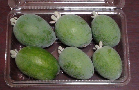 フェイジョアのご注文