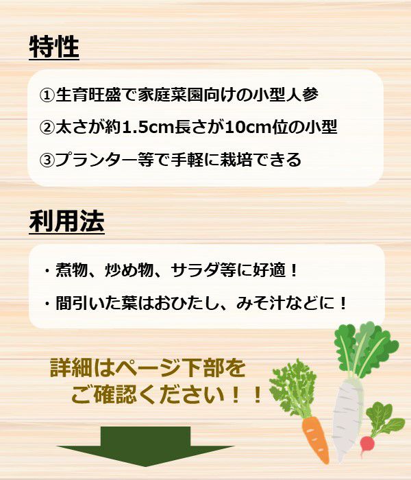 Aming アミング 群馬\おうちで育てる栽培セット♪ガーデン担当者よりおすすめの栽培キットのご紹介です✨ 『おうちで根菜栽培セット』大根、にんじん 各¥880 税込『おうちで育てるスープ』 ホウレンソウ、パクチー、青ネギ、ミニキャロット 各¥528 税込