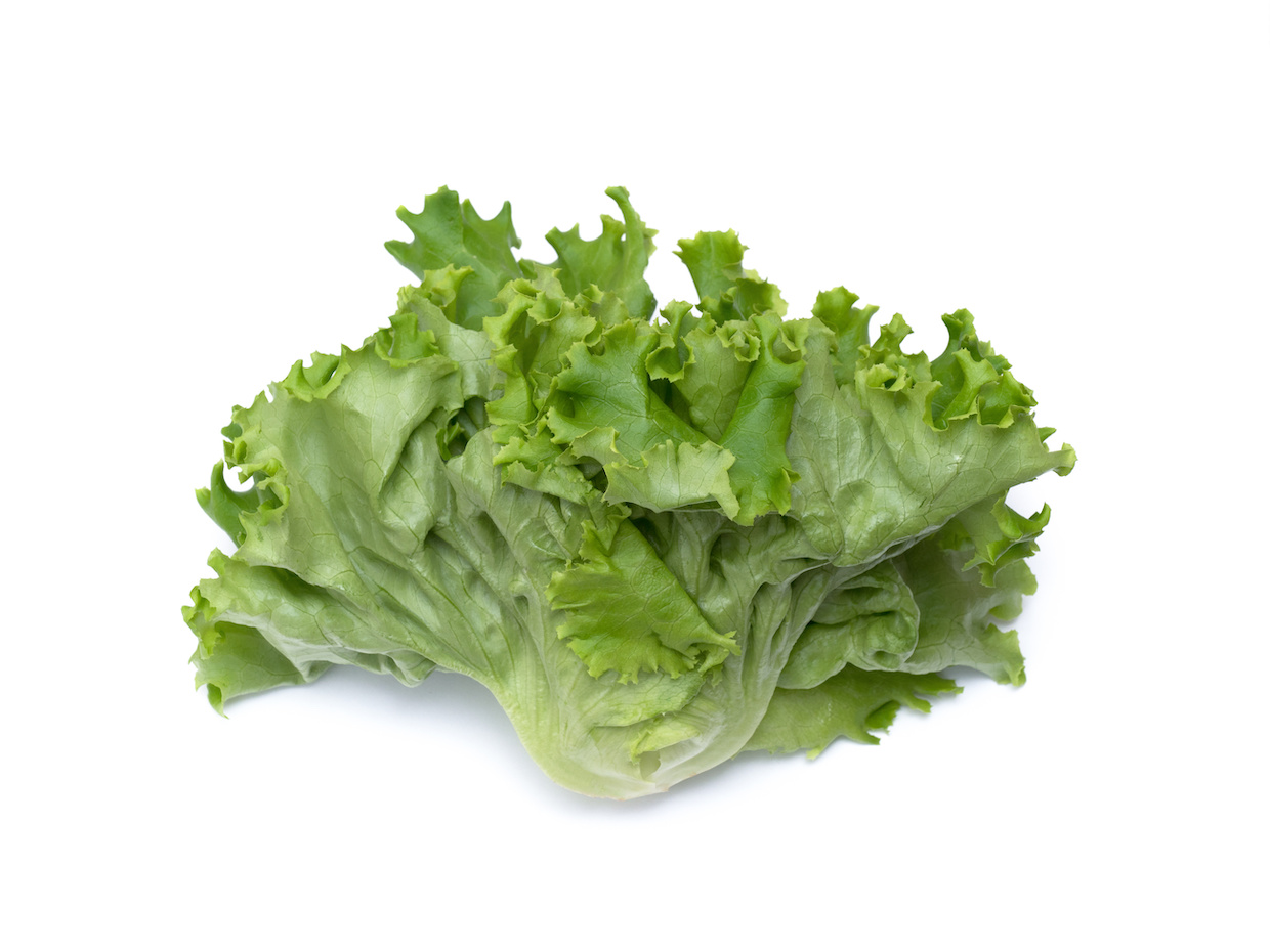 レタスにはどんな種類がある？10品種の特徴を一挙にご紹介デリッシュキッチン