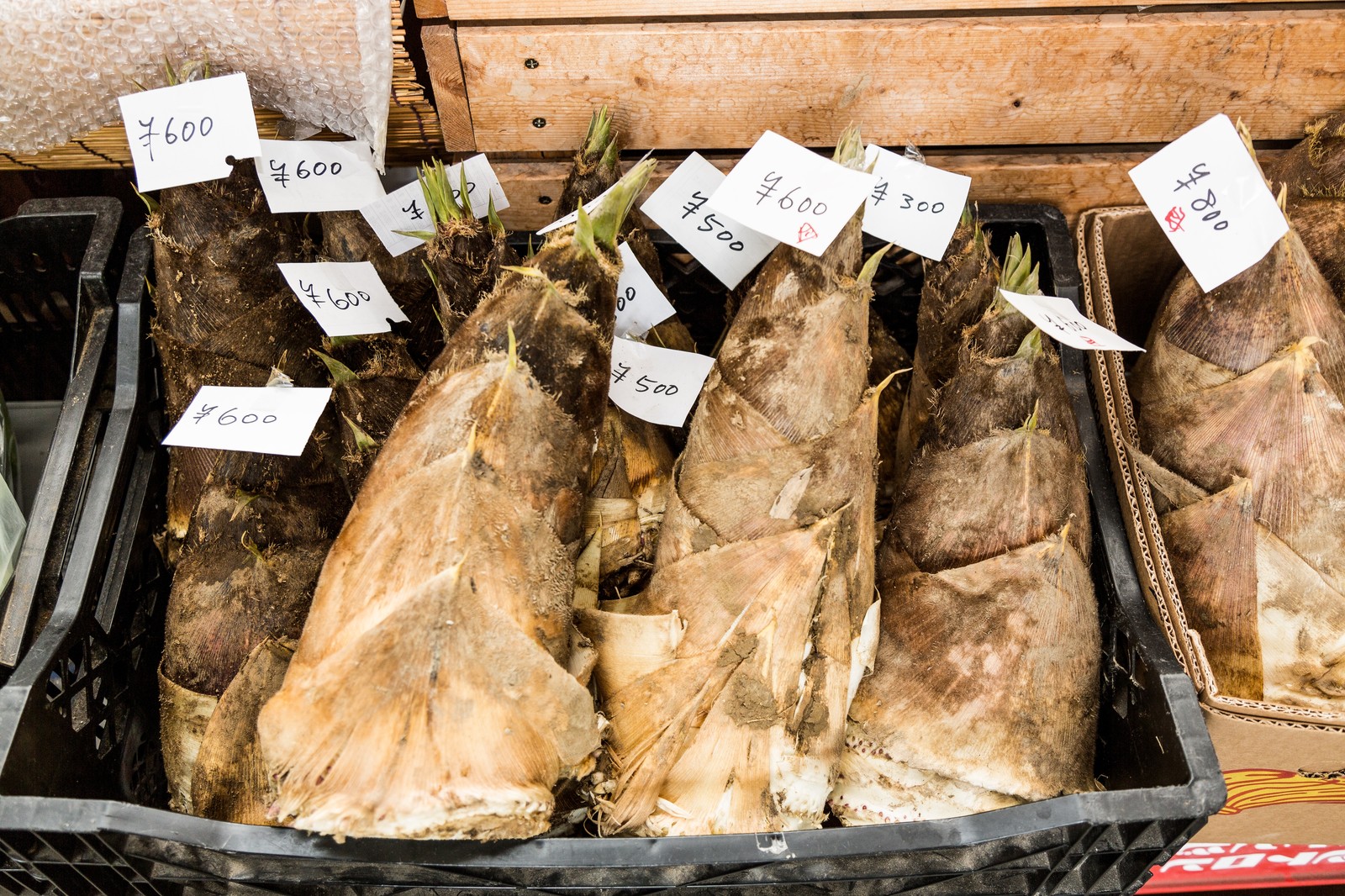 筍 たけのこ の皮のむき方は、縦に切断すると簡単です。炊き合わせならワカメとタケノコ松葉博雄の社長研究室