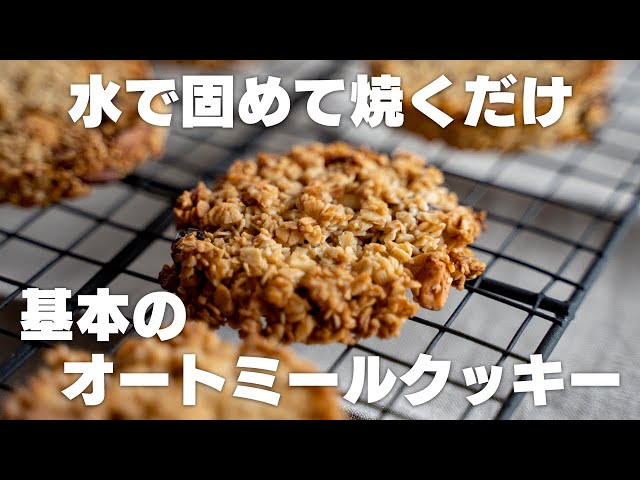オートミールチョコチップクッキープロフーズ オンラインストア家庭で作るパン・菓子の材料、世界と日本のこだわり食材