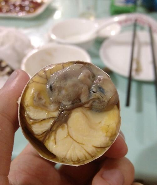 閲覧注意 世界最も気持ち悪い食べ物博物館！中国と日本の食べ物が多数展示されるSeeChina365